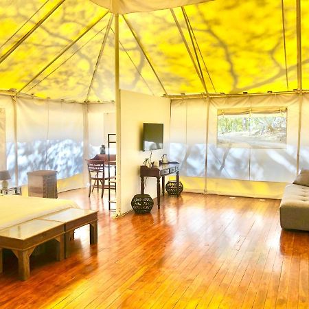 Отель Hyla Nature Retreat Сан-Хосе-Пинилья Экстерьер фото