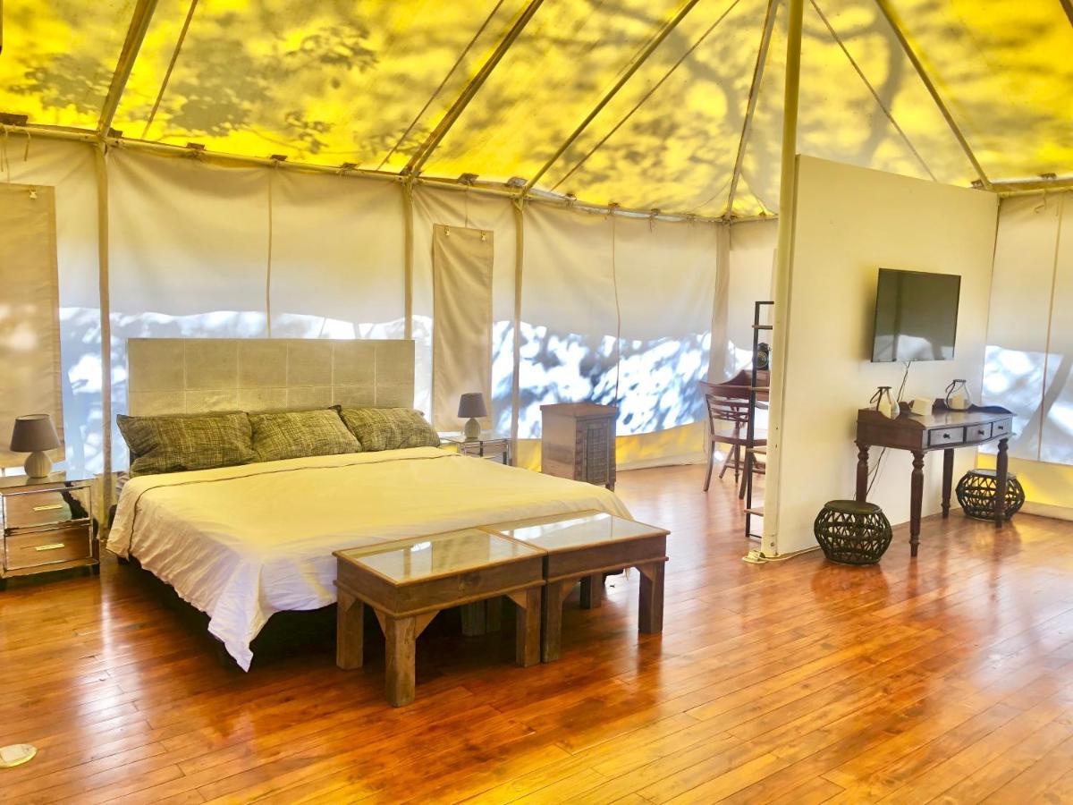 Отель Hyla Nature Retreat Сан-Хосе-Пинилья Экстерьер фото